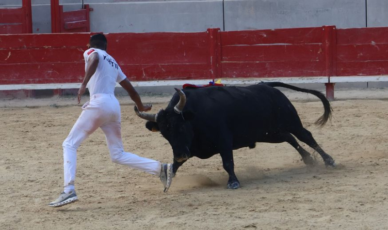 Villeneuve-lès-Maguelone: ​​Katif and Caruso take the podium in the Vineyard and Ponds final