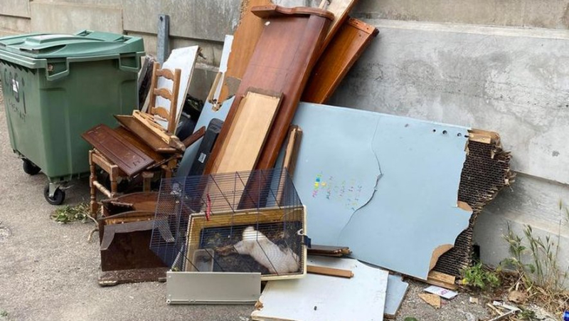 In Nîmes, the corpse of a rabbit in its cage thrown away with the trash