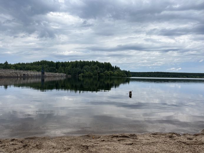 The must-see summer walks in Lozère: Lake Charpal on the Palais-du-Roi plateau