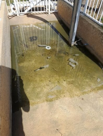 Class action complaint following contamination of the Mas des Vignes swimming pool in Calvisson