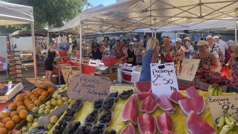 Boom de fréquentation, stands atypiques, "petits prix"... : l'été, le marché de Balaruc-les-Bains fait un carton