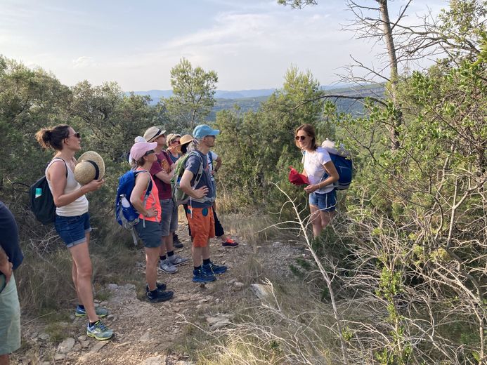 La balade oenotouristique en Pic Saint-Loup : pour déguster le paysage autant que le vin !