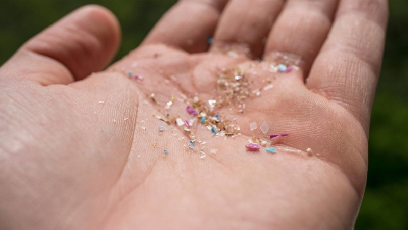 "It&#39;s quite alarming": microplastics found in human brains