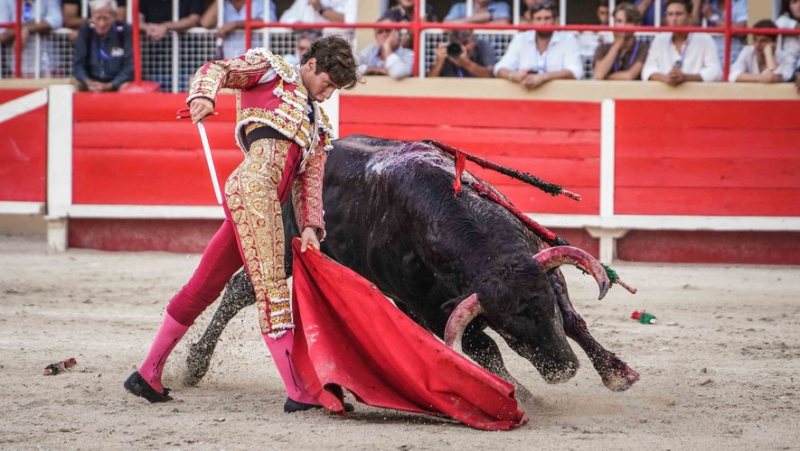 At the Saint-Gilles arenas, six ears rewarded the matadors of the day