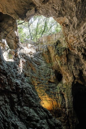 Grotte des Demoiselles: from the funicular to the cathedral hall, a magical visit in the heart of the Hérault region