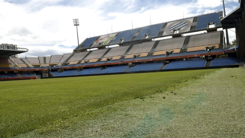 "It&#39;s a billiard table": the MHSC lawn redone during the off-season after being affected by a fungus