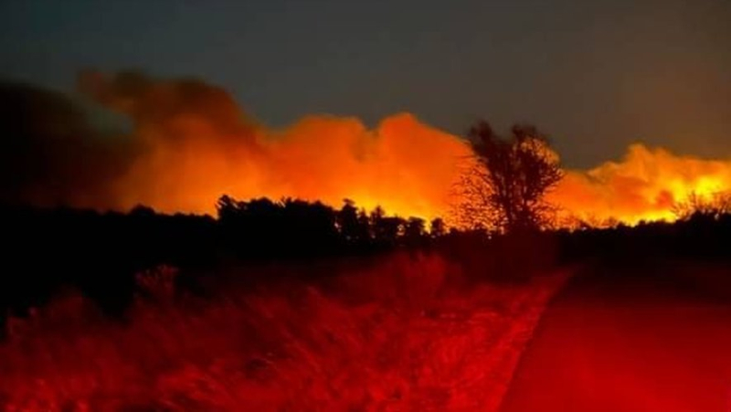 Entre 50 et 60 hectares détruits sur les hauteurs du village de Nissan-Lez-Ensérunes