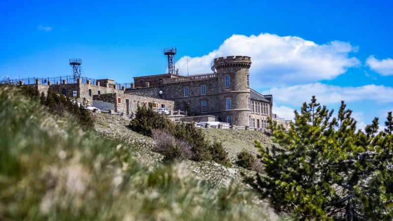 HISTOIRE. De 2 000 à 16 000 hectares…. Comment l’Aigoual est devenue forêt d’exception en quelques décennies