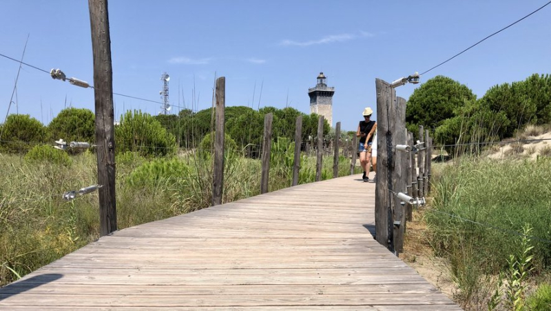 Guided tours of the Espiguette lighthouse in Grau-du-Roi: an enlightening journey through time and the elements