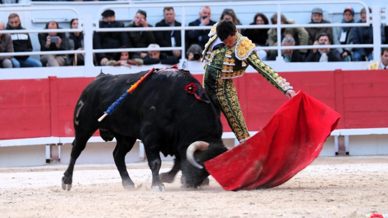 Feria de Béziers 2024 : un grand cartel pour les aficionados pour la corrida de ce vendredi 16 août