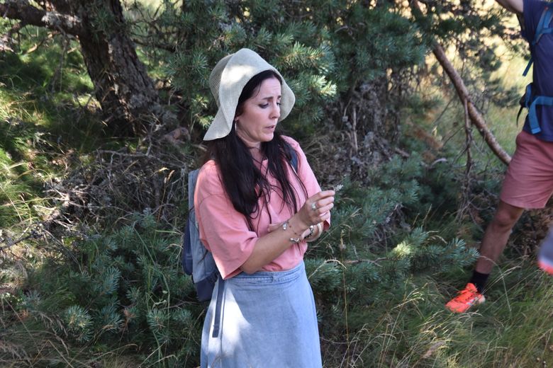 A bucolic stroll to discover the secret of the plants of Mont Lozère with the Racines de terriens association