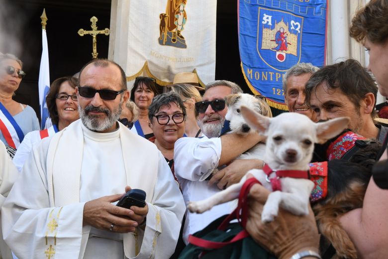 Saint-Roch Festival in Montpellier: parades, flag-waving, blessing of the dogs… the program of festivities for August 15 and 16