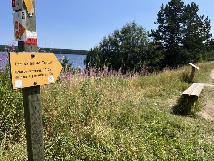 The must-see summer walks in Lozère: Lake Charpal on the Palais-du-Roi plateau