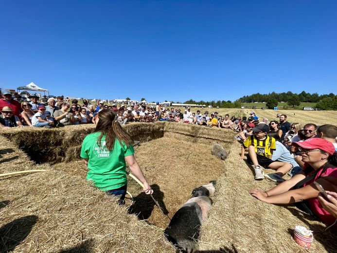 La foule des grands jours pour la vingt-septième Fête de la terre sur le causse de Mende