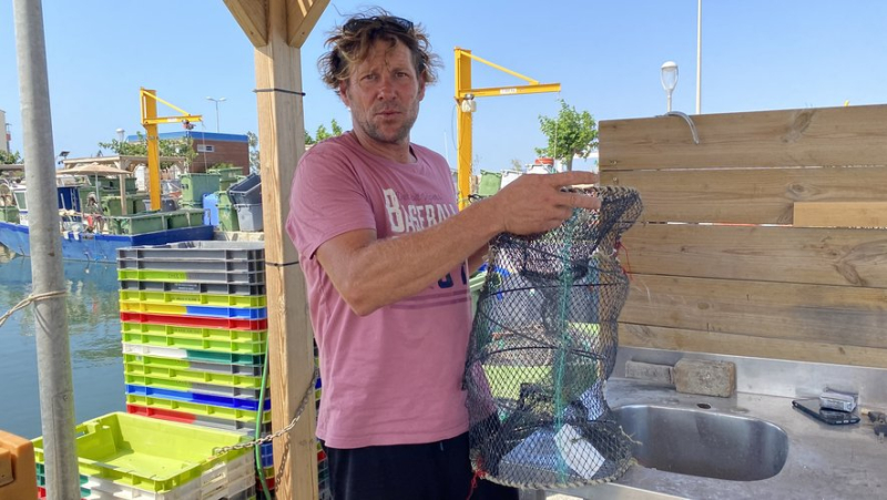 With Mickaël Catalano, fresh fish every day on the port