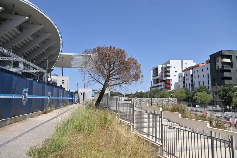 Notre rendez-vous avant-après de l’été (3) : les images de Montpellier il y a vingt ou trente ans