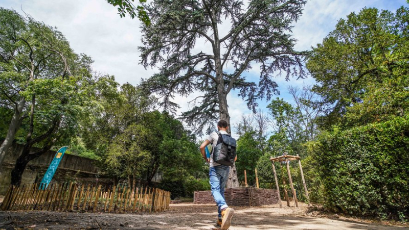 More than a month after its opening, the Meynier de Salinelles park has already won over the people of Nîmes