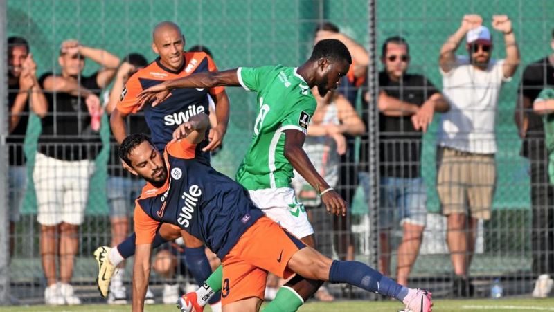 New defeat in a preparation match for MHSC, which lost to Fiorentina