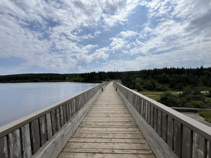 The must-see summer walks in Lozère: Lake Charpal on the Palais-du-Roi plateau