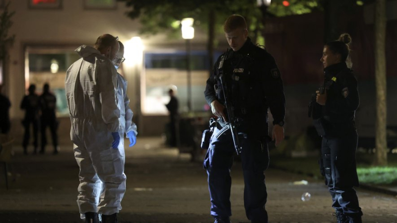 Knife attack in Germany: three dead and four injured at festival in Solingen, attacker still on the run