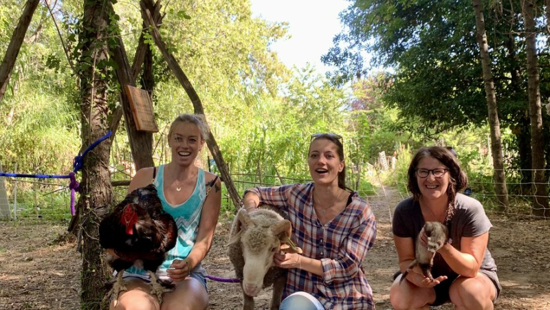 Animals from the educational farm visiting the shared gardens