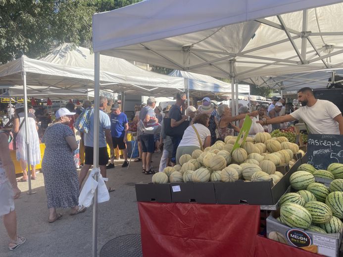 Boom de fréquentation, stands atypiques, "petits prix"... : l'été, le marché de Balaruc-les-Bains fait un carton