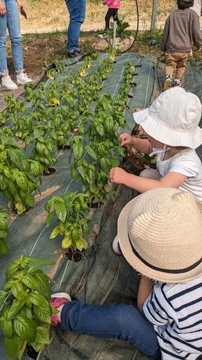 “Healthy eating” for all: or how to go green at the Jardin du Chayran in Millau