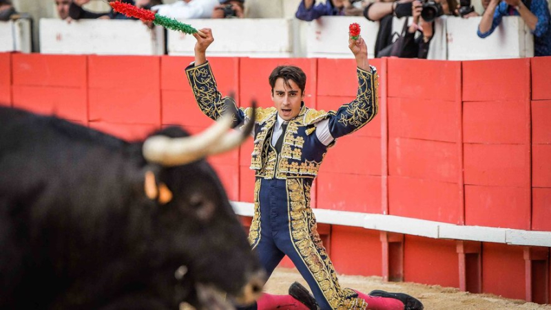 Youth and ambition on the bill for the first bullfight of the Saint-Gilles feria (30)