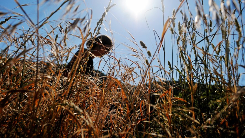 Canicule dans le Gard : sept zones placées en vigilance, les premières mesures de restriction de l’eau tombent