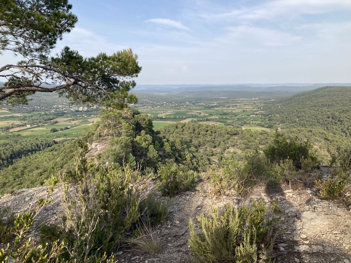 La balade oenotouristique en Pic Saint-Loup : pour déguster le paysage autant que le vin !