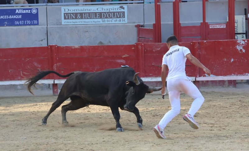 Villeneuve-lès-Maguelone: ​​Katif and Caruso take the podium in the Vineyard and Ponds final