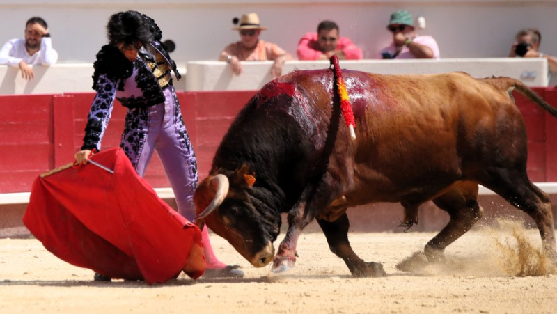 Feria de Béziers: Lalo de Maria triumphant with a great novillada