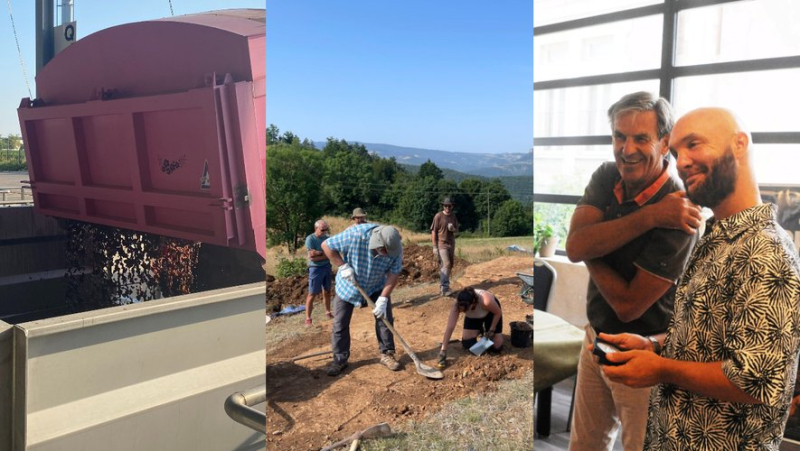 Grape harvests in the Gard, 2,000 ravers in the Aude and dinosaur footprints in Lozère… the essential news in the region