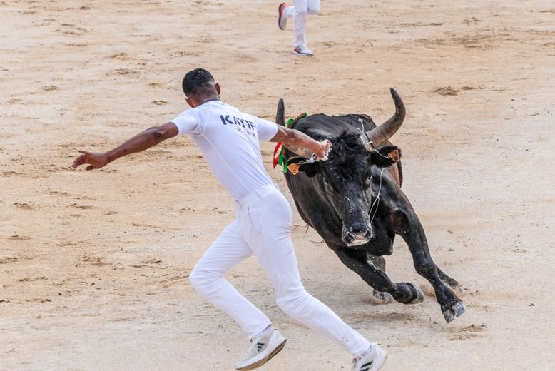 The Camargue: 5 traditions to understand the Camargue world