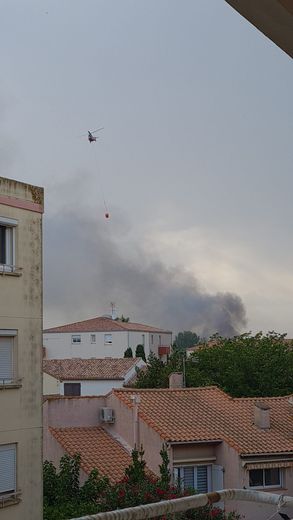 A fire covers 5 hectares in Valras-Plage, on the roundabout between the police station and the karting site