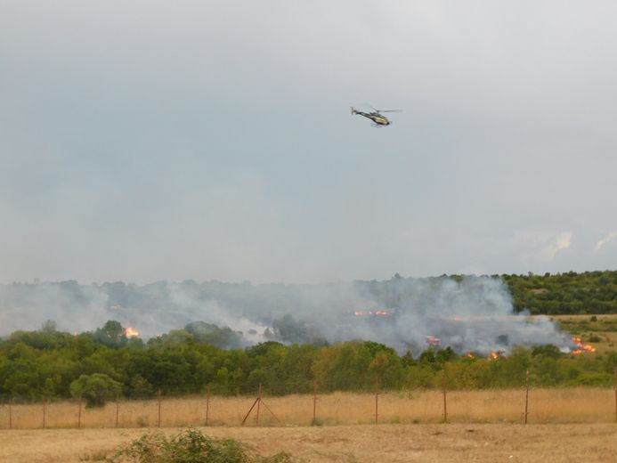 Un feu de palettes se propage à la végétation : six hectares partent en fumée à La Boissière, au nord ouest de Montpellier