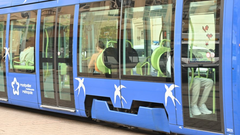 Passablement énervé, un individu surpris avec une serpette de 30 cm à la main dans un tramway de la ligne 1 à Montpellier