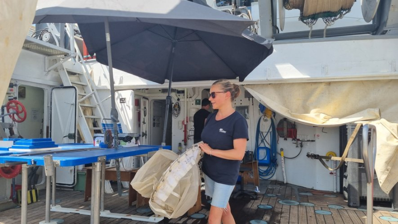 Who are these scientists who are boarding the Ifremer oceanographic vessel from Sète ?