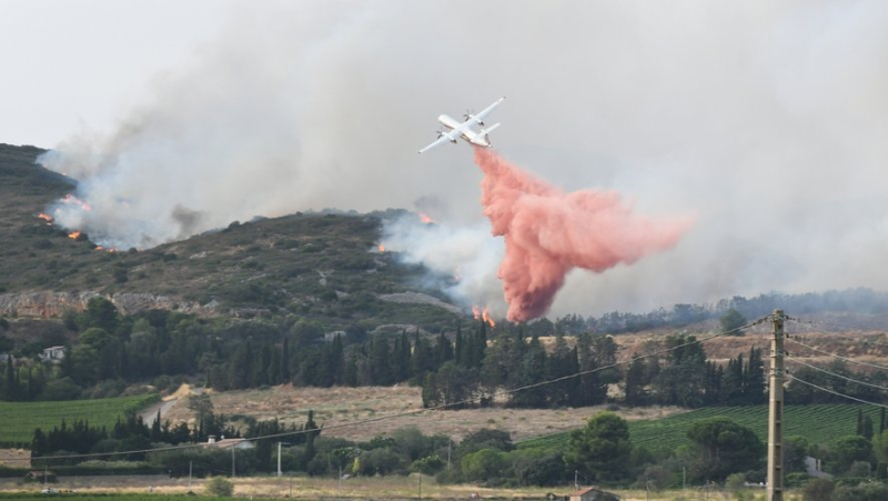 300 hectares burned, 600 firefighters mobilized… the biggest fire of the summer ravaged the Gardiole massif