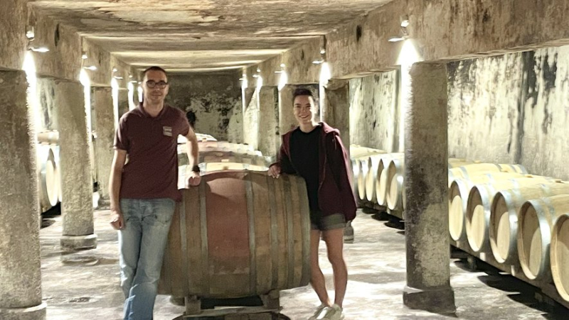 The hundredth harvest has started at the Jonquières-Saint-Vincent cooperative cellar