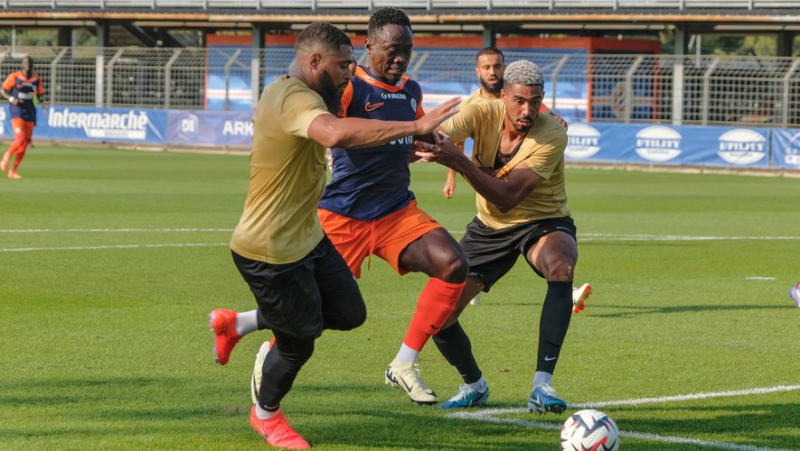 MHSC: Montpellier end their preparation with a defeat in Mainz (3-1)