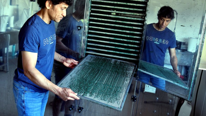 The Arc-en-Ciel farm or the art of introducing spirulina