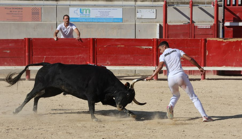 Villeneuve-lès-Maguelone: ​​Katif and Caruso take the podium in the Vineyard and Ponds final