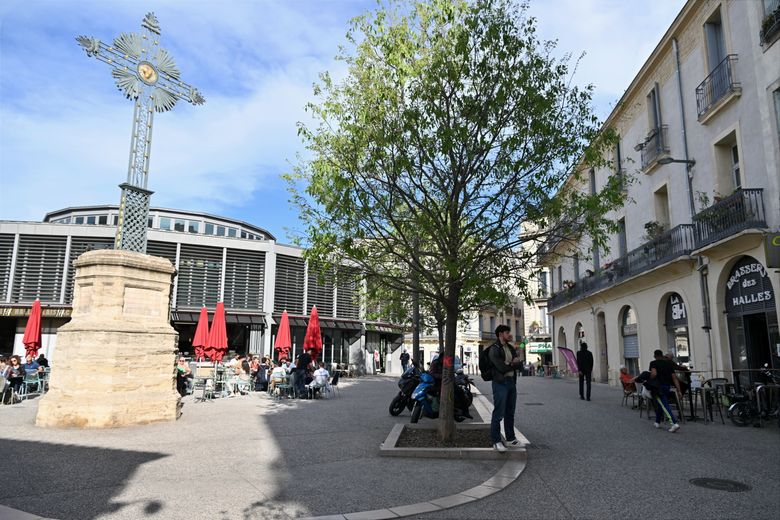 Notre rendez-vous avant-après de l’été (3) : les images de Montpellier il y a vingt ou trente ans