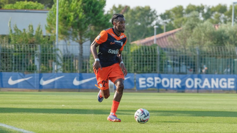 MHSC: where and when to watch the match Mainz – Montpellier, last preparation match of the Pailladins