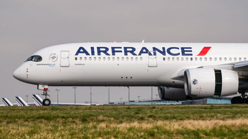 An Air France plane makes an emergency landing in Tahiti because of a burning smell felt in the cabin