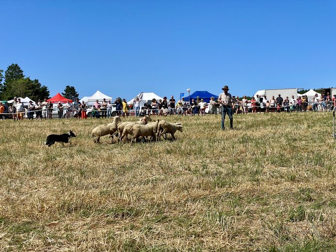 La foule des grands jours pour la vingt-septième Fête de la terre sur le causse de Mende