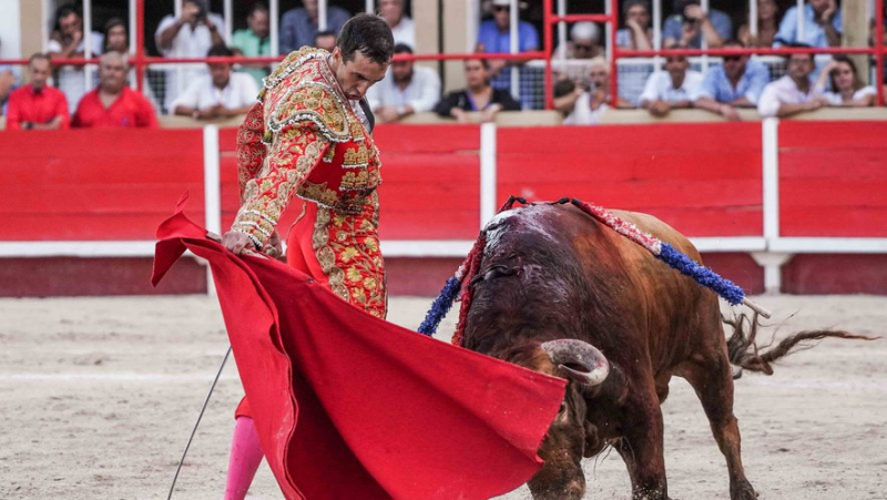 Aux arènes de Saint-Gilles, deux oreilles pour les adieux de Thomas Joubert, mais les toros gâchent la fête