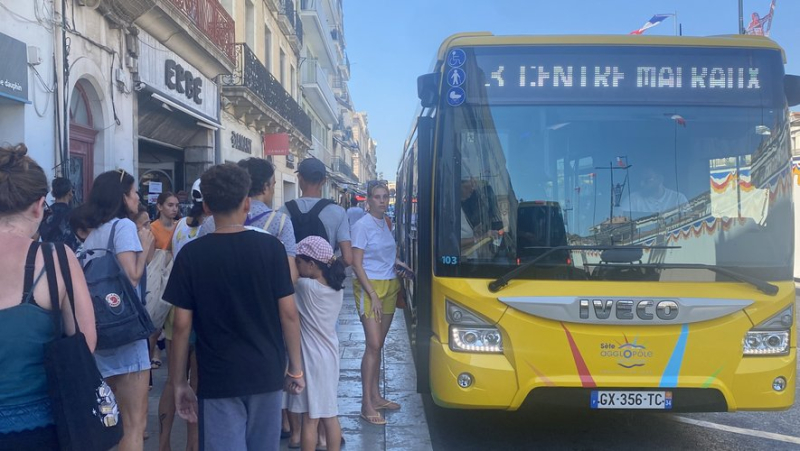 "Marre de passer des heures à trouver une place !" : à Sète, le succès du bus pour se déplacer l'été