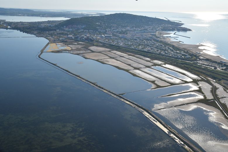 Que faire à Sète ? Cinq idées de sortie dans cette ville du bassin de Thau